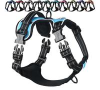 VIVAGLORY Dog Harness Easewalk No Pull Dog Harness with Handle Front Clip & Back Clip for Training Walking Lifting, No Pull Adjustable Easy On Padded Comfortable for Pet, L, Sky Blue - Plain