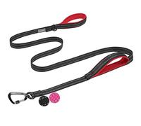 VIVAGLORY Dog Lead Lighthook Double Handle Dog Lead, Leash with Traffic Handle & Locking Carabiner for Walking & Training, Traffic Control Lightweight Carabiner for Puppy Pet, 1.2m x 2.5cm, Black