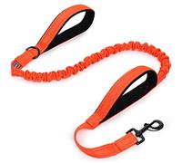 VIVAGLORY Dog Lead Pullsafe Bungee Dog Lead, Leash with 2 Padded Handle & Double Handle for Training & Walking, Bungee Anti Pull for Pet That Pull, 1.2m x 2.5cm, Orange