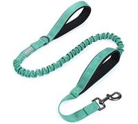 VIVAGLORY Dog Lead Pullsafe Bungee Dog Lead, Leash with 2 Padded Handle & Double Handle for Training & Walking, Bungee Anti Pull for Pet That Pull, 1.2m x 2.5cm, Turquoise