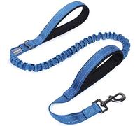 VIVAGLORY Dog Lead Pullsafe Bungee Dog Lead, Leash with 2 Padded Handle & Double Handle for Training & Walking, Bungee Anti Pull for Pet That Pull, 1.2m x 2.5cm, Royal Blue
