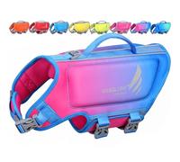VIVAGLORY High Buoyancy Dog Life Jacket, Swim Vest with Handle, Dog Life Jacket for Swimming & Boating, Buoyancy for Doggy, S, Pink Blue
