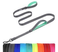 VIVAGLORY Twingrip Dog Lead, Double Handle Dog Lead for Training & Walking with Traffic Handle & 2 Loop, Traffic Control Reflective Heavy Duty for Puppy Pet, 1.2m x 2.5cm, Grey