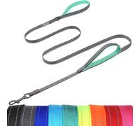 VIVAGLORY Twingrip Dog Lead, Double Handle Dog Lead for Training & Walking with Traffic Handle & 2 Loop, Traffic Control Reflective Heavy Duty for Puppy Pet, 1.2m x 1.4cm, Grey