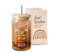 VivaJoy Cat Gifts for Women - Cats Lovers Gifts for Womens, Glass Cups with Straw and Lid, Birthday Gift for Women, Sister, Bestie, Best Friend