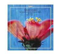 VIVALDI: 6 Violin Concertos for Anna Maria