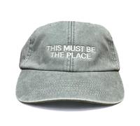 Vivian Flytrap Unisex This Must Be The Place Embroidered Low Profile Dad Baseball Cap - Washed Sage Green - One Size
