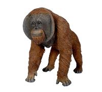 Vivid Arts - Active Orangutan - XRL-ORN4-D