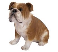 Vivid Arts - Bulldog - XRL-BDOG-D