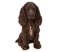 Vivid Arts - Chocolate Brown Cocker Spaniel - XRL-CSP5-D