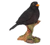 Vivid Arts Garden Birds (Blackbird)