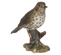 Vivid Arts Garden Birds (Song Thrush)