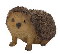Vivid Arts Hedgehog Real Life Ornament