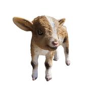 Vivid Arts - Kid Goat - Garden Decor - Indoor Outdoor (Beige & White, Small)