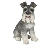 Vivid Arts (Miniature Schnauzer Sitting