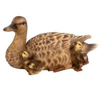 Vivid Arts - Mother Duck & Ducklings -