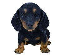 Vivid Arts - Pet Pals Black/Brown Dachshund Puppy Home or Garden Decoration (PP-DACH-F)