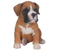 Vivid Arts Pet Pals - Boxer Puppy