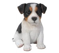 Vivid Arts Pet Pals Jack Russel Puppy - PP-JKTC-F