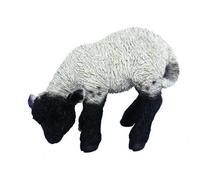 Vivid Arts Real Life Black & White Lamb - Size D