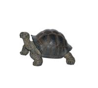 Vivid Arts Real Life Giant Tortoise (Extra Large)