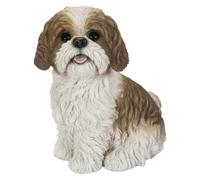 Vivid Arts - Real Life-like Shih-Tzu - XRL-SZ12-D