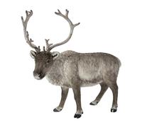 Vivid Arts - Real Life Reindeer Home or Garden Decoration (XRL-REIN-D)