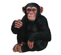 Vivid Arts Real Life Sitting Chimpanzee | Resin Home or Garden Decoration | XRL-CHM3-D Black