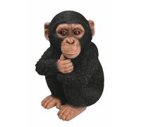 Vivid Arts - Realistic Baby Chimpanzee - XRL-CHM2-D-N