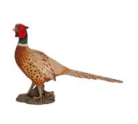 Vivid Arts - Realistic Pheasant Bird - XRL-PHST-D
