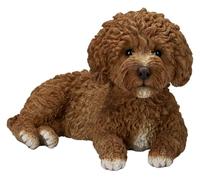 Vivid Arts - RL Labradoodle Ginger/Brown - XRL-LDD1-D
