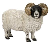 Vivid Arts - RL Scottish Blackface Ram - XRL-BFAC-D
