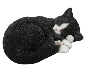 Vivid Arts - Sleeping Cat Black & White - XRL-ZC35-D