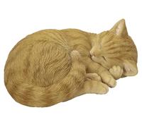 Vivid Arts - Sleeping Cat Ginger - XRL-ZC31-D