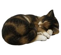 Vivid Arts - Sleeping Cat Tortoise Shell - XRL-ZC32-D