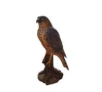 Vivid Arts Sparrow Hawk Resin Home or Garden Ornament (XRL-SHAW-D)