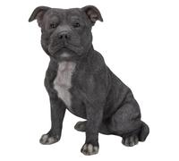 Vivid Arts - Staffordshire Terrier Dog - Blue - XRL-STF6-D