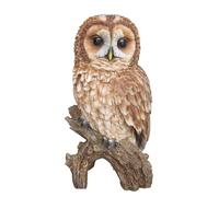 Vivid Arts Tawny Owl Real Life Ornament
