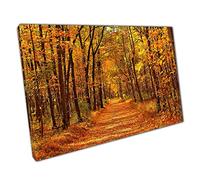 Vivid Autumnal Maple Tree Woodland Orange Golden Leaf Covered Wall Art Print On Canvas Picture For Home Office Decor 61x41cm (24x16In)