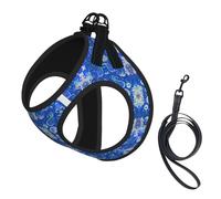 Vivid Blue Modern Fusion Carpet Pattern No Pull Dog Harness and Leash Set, Cute Reflective Adjustable Vest for Small Dogs,Breathable Mesh Puppy Harness for Walking Hiking,Large