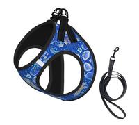 Vivid Blue Modern Fusion Carpet Pattern No Pull Dog Harness and Leash Set, Cute Reflective Adjustable Vest for Small Dogs,Breathable Mesh Puppy Harness for Walking Hiking,Small