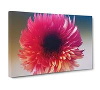 Vivid Flower Canvas Print | Gallery Wrapped 30mm Frame Wall Art | 30x20 inches | Ready to Hang | Contemporary Floral Picture | Living Room Bedroom Lounge Office