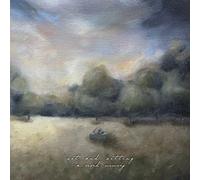 Set And Setting - A Vivid Memory [VINYL]