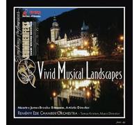 Vivid Musical Landscapes