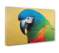 Vivid Parrot Canvas Print | Gallery Wrapped 30mm Frame Wall Art | 30x20 inches | Ready to Hang | Contemporary Animals Picture | Living Room Bedroom Lounge Office