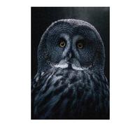 Vivid Picture Puzzle for Adults, Grey Bart Owl, 300 PCS