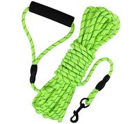 Vivifying Long Leash for Dogs Outside, 32ft Reflective Dog Training Leash for Camping and Hiking, Floating Long Rope Lead with Soft Handle for Swimming and Beach (Green)