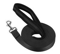 Vivifying Training Lead for Dogs, 10m/32ft Nylon Long Line Dog Lead with Padded Handle, Perfect for Daily Walks and Obedience Training (Black)
