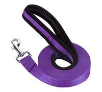Vivifying Training Lead for Dogs, 20FT/6M Long Nylon Long Line Dog Lead for Pet Tracking Training Obedience Lead Leash (Purple)