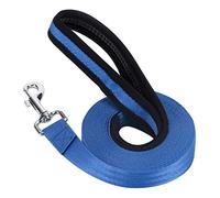 Vivifying Training Lead for Dogs, 20FT/6M Long Nylon Long Line Dog Lead for Pet Tracking Training Obedience Lead Leash (Blue)